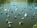 2014 Edinburgh 2014-07-09 093